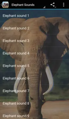 Elephant Sounds android App screenshot 0